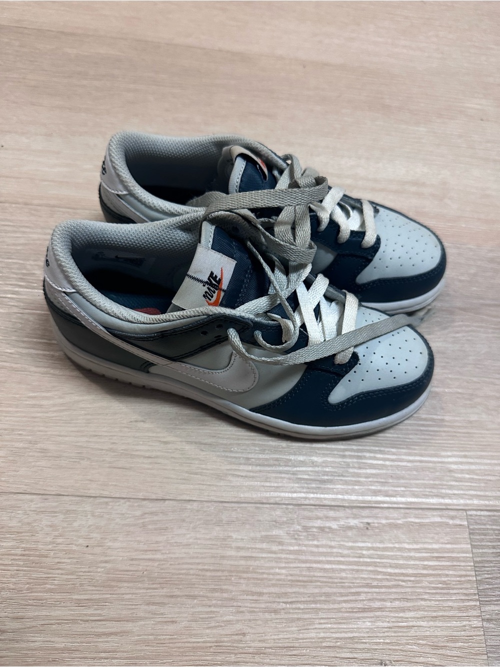 Nike Kids Dunks